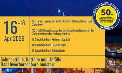 Fortbildung in Rust 2026